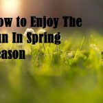 Health Tips and tricks: How to Enjoy The Sun In Spring Season