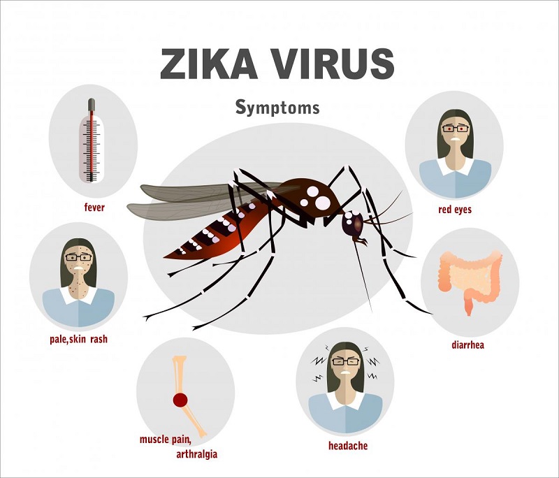 Diagnosis of Zika Virus