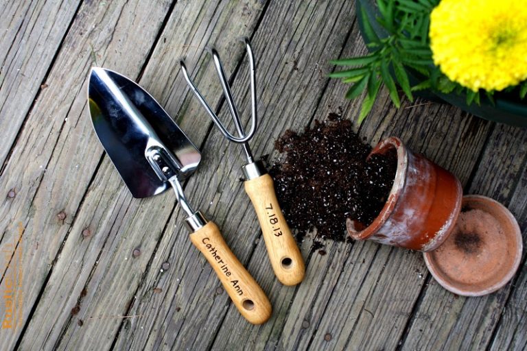 5 basic gardening tools you should have