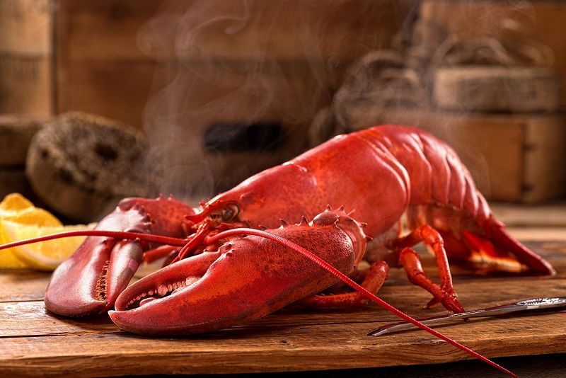 How to eat lobster