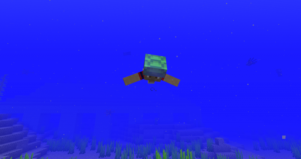 How to swim in minecraft