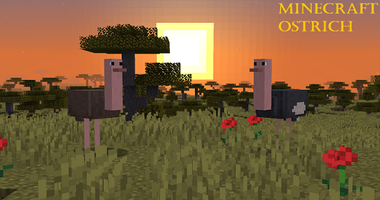 Minecraft ostrich